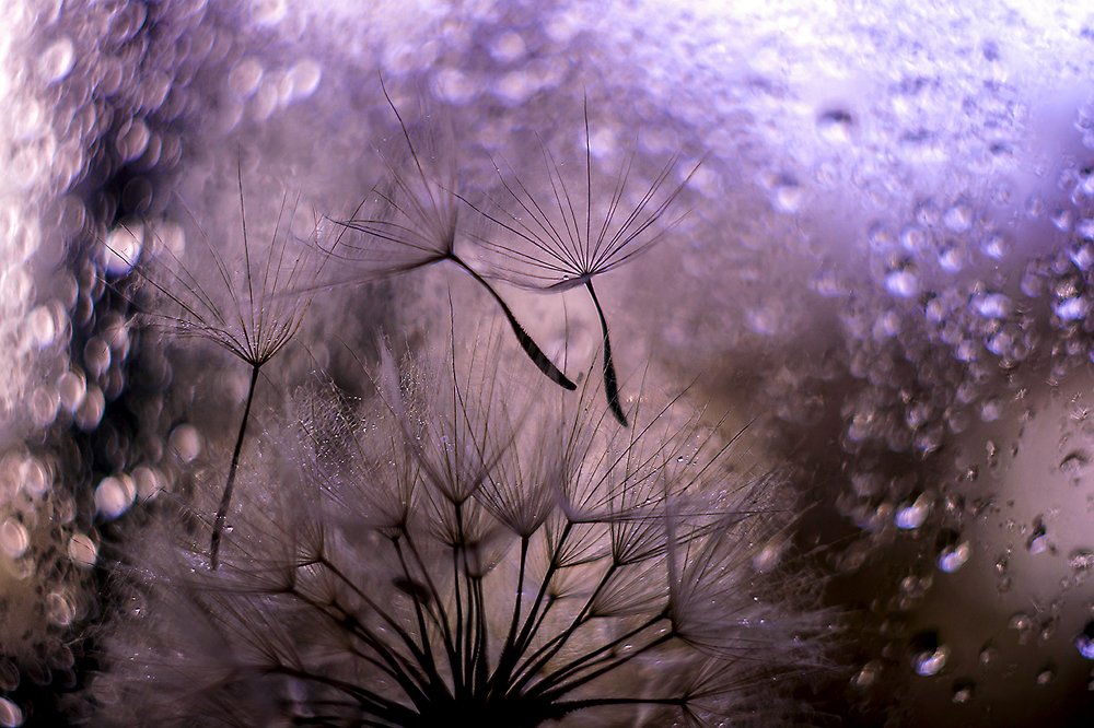 Photograph by Марина Соколова