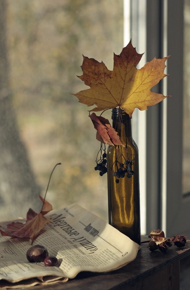 Photograph by Дмитрий Сырбу