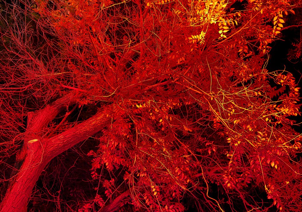 Photograph by Вячеслав Бондаренко