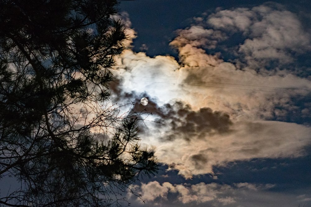 Photograph by Юлия Боровкова