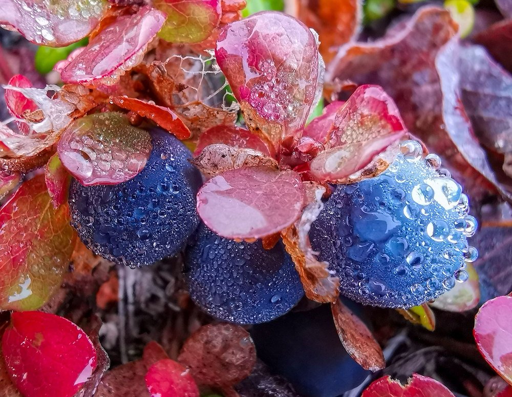 Photograph by Евгений Бушков