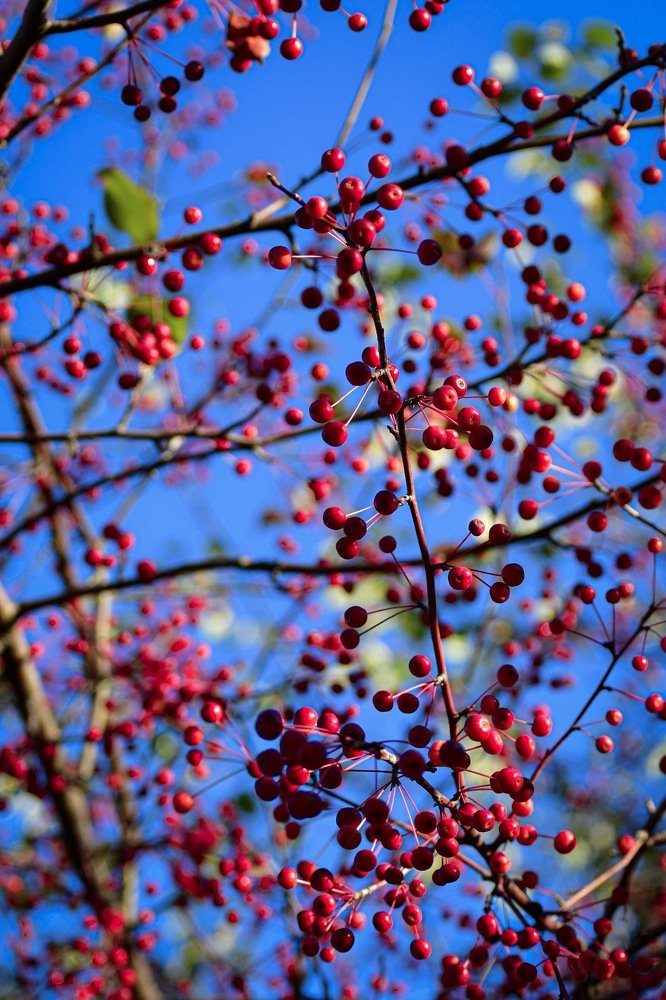 Photograph by Анна Белка