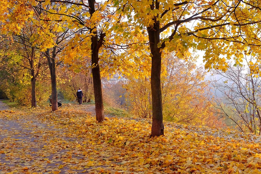 Photograph by Елена Маракулина