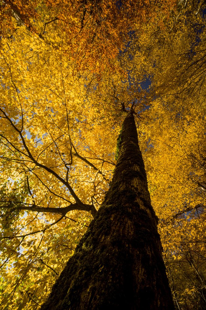 Photograph by Виталий Евдокимов