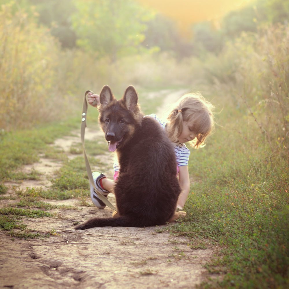 Photograph by Анна Айбетова