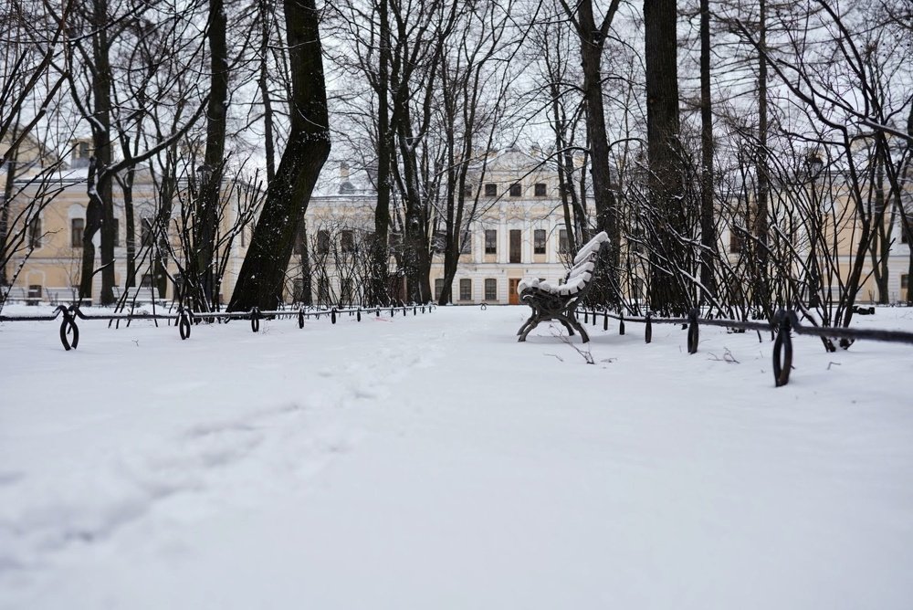 Photograph by Алина