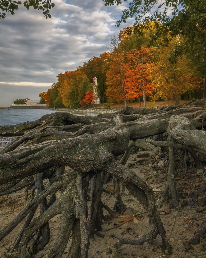 Photograph by Владимир Колесников