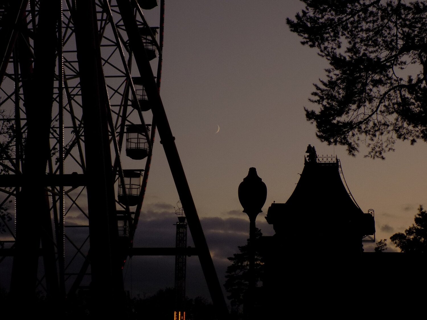 Photo #3856790