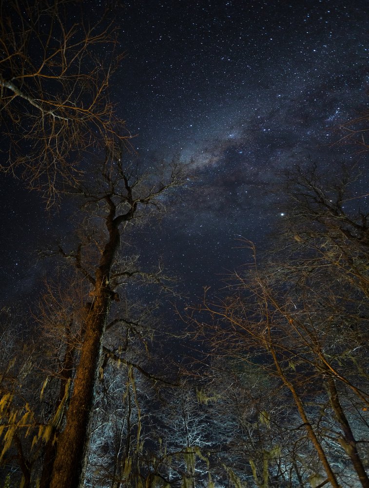 Photograph by Alfonso Finlay Villegas