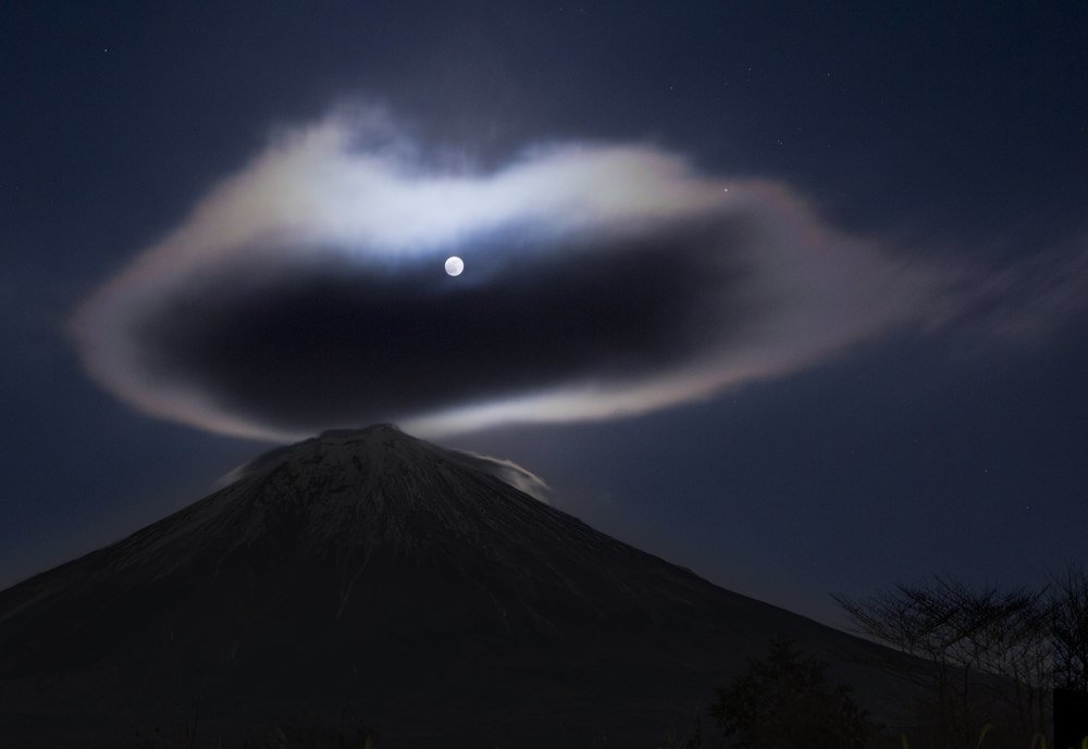 Photograph by Akiko C. Ikeda