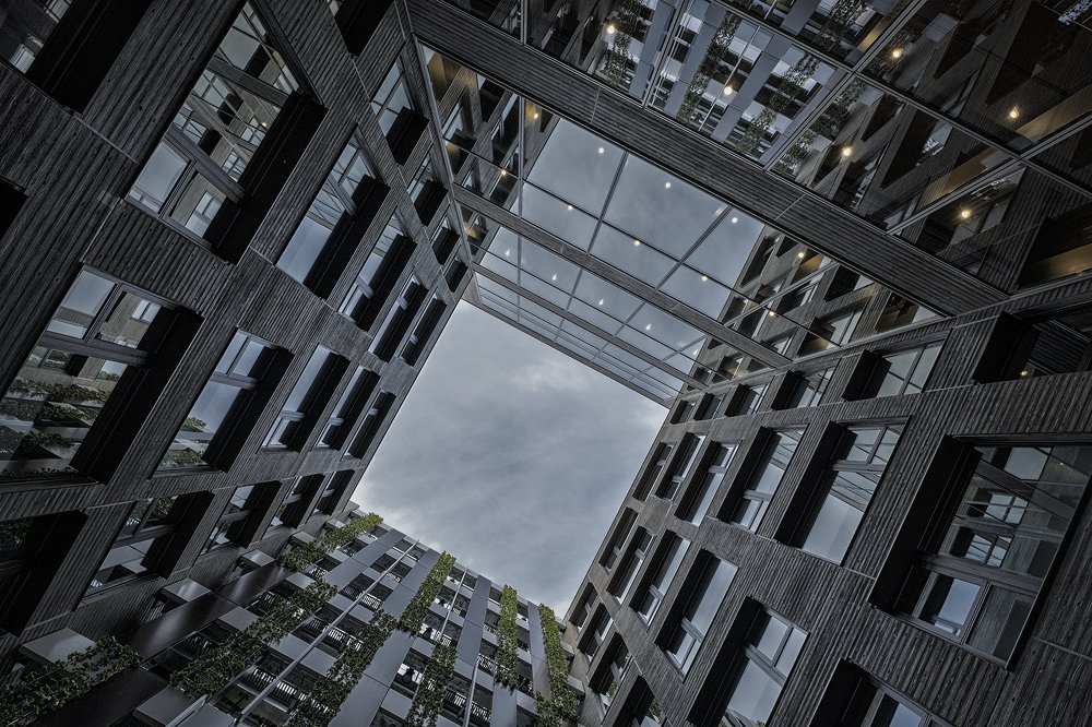 Photograph by Akiko C. Ikeda