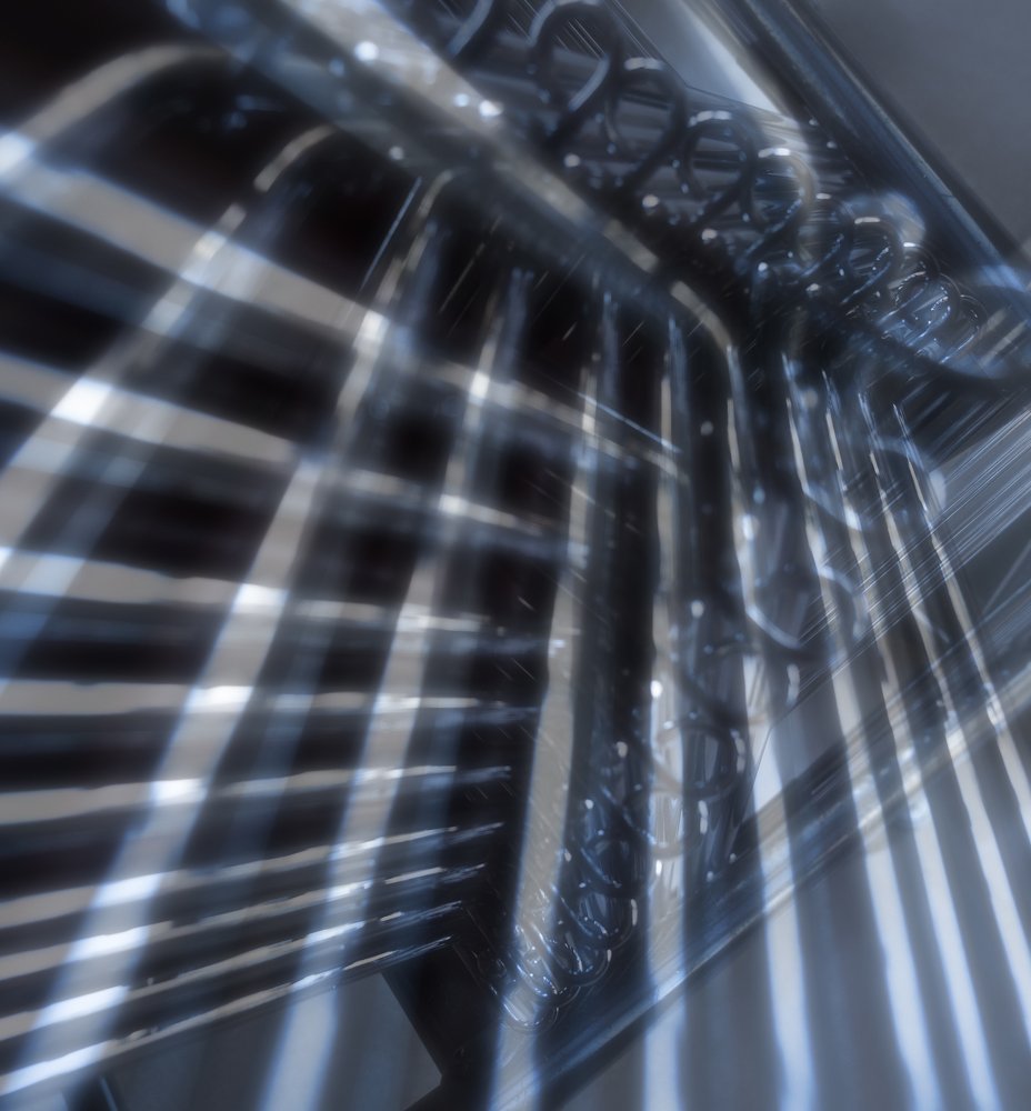 Photograph by Akiko C. Ikeda