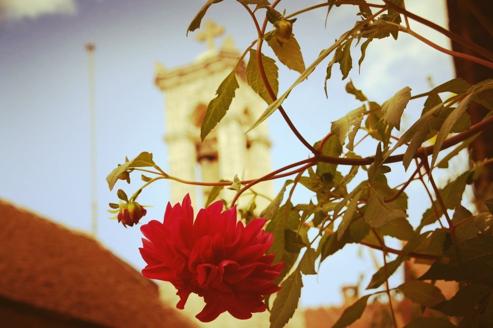 Photograph by Markella M.