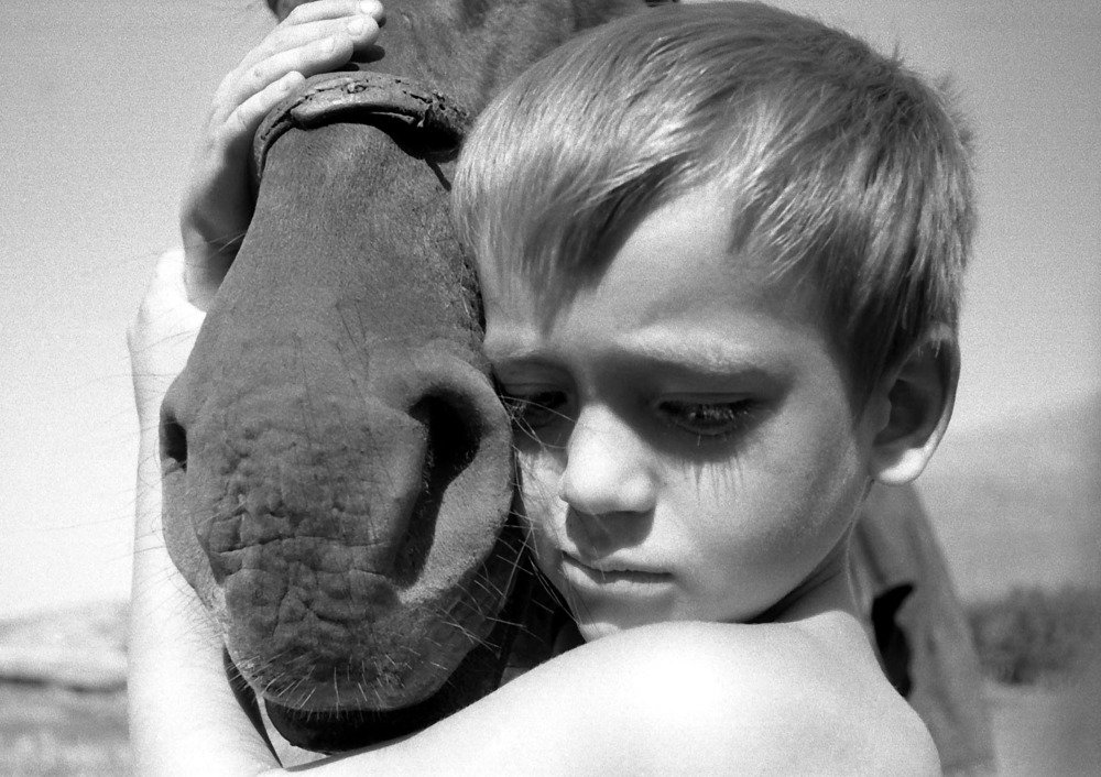 Photograph by петр чиков