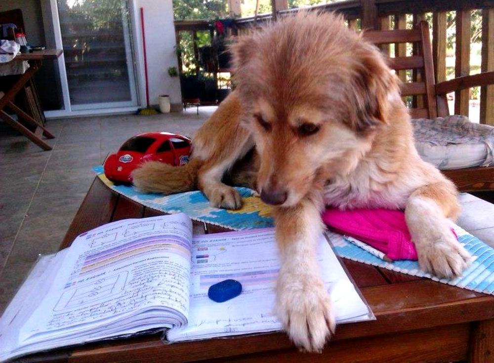 Фотография автора Turgay Uykusuz