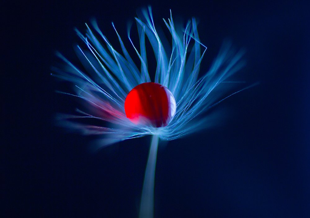 Photograph by Иван Радьков