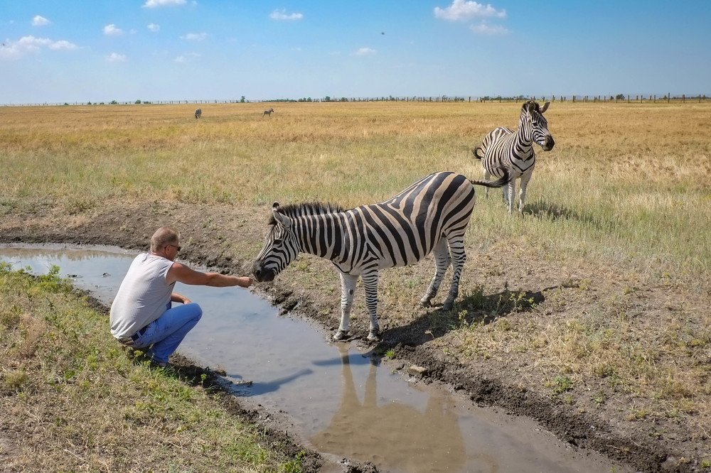 Photograph by Мария Причиненко