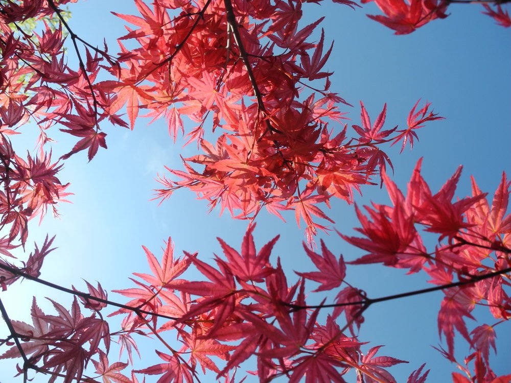 Photograph by Елена Литвин