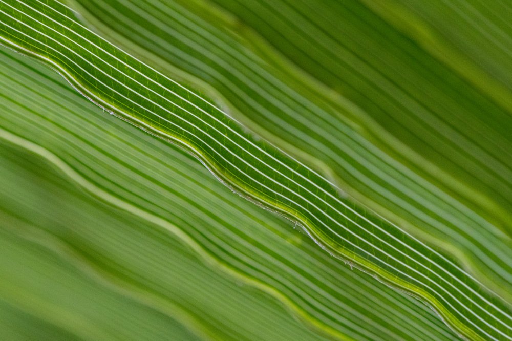 Photograph by  Mykhailo