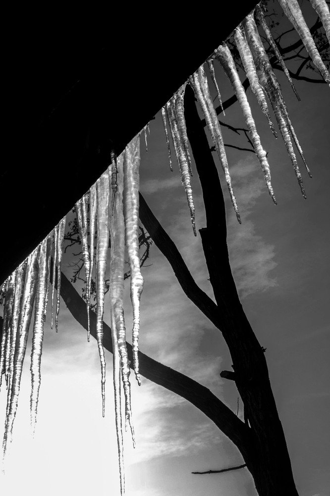 Photograph by Мария Причиненко