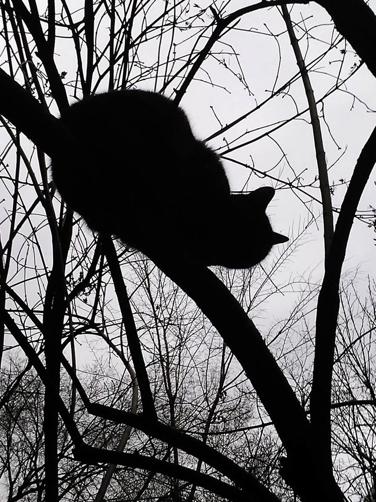 Photograph by Мария Причиненко