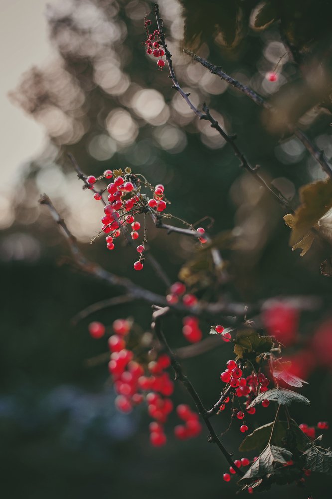 Photograph by Марина Левицкая