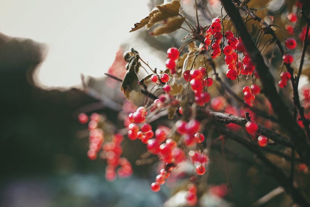 Photograph by Марина Левицкая