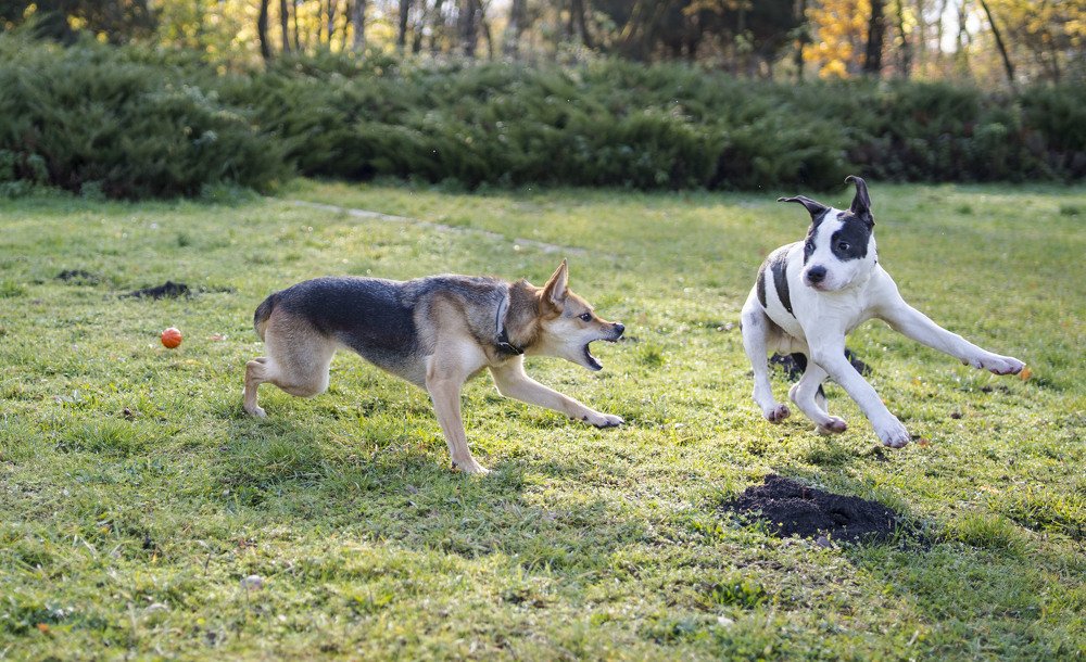 Photograph by Олесь