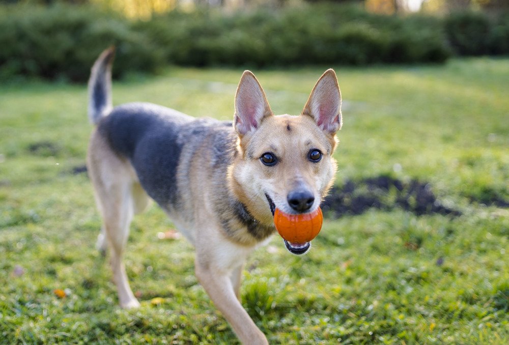 Photograph by Олесь