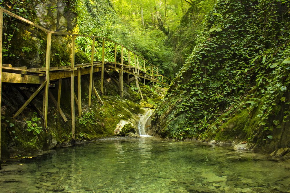 Тропики России