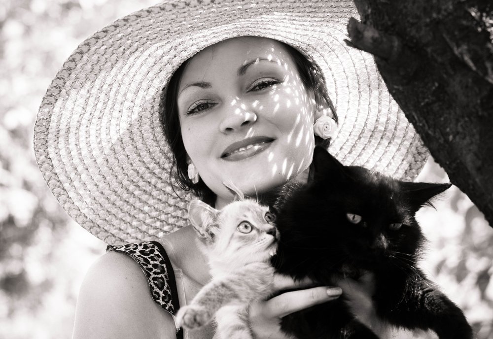 букет котов