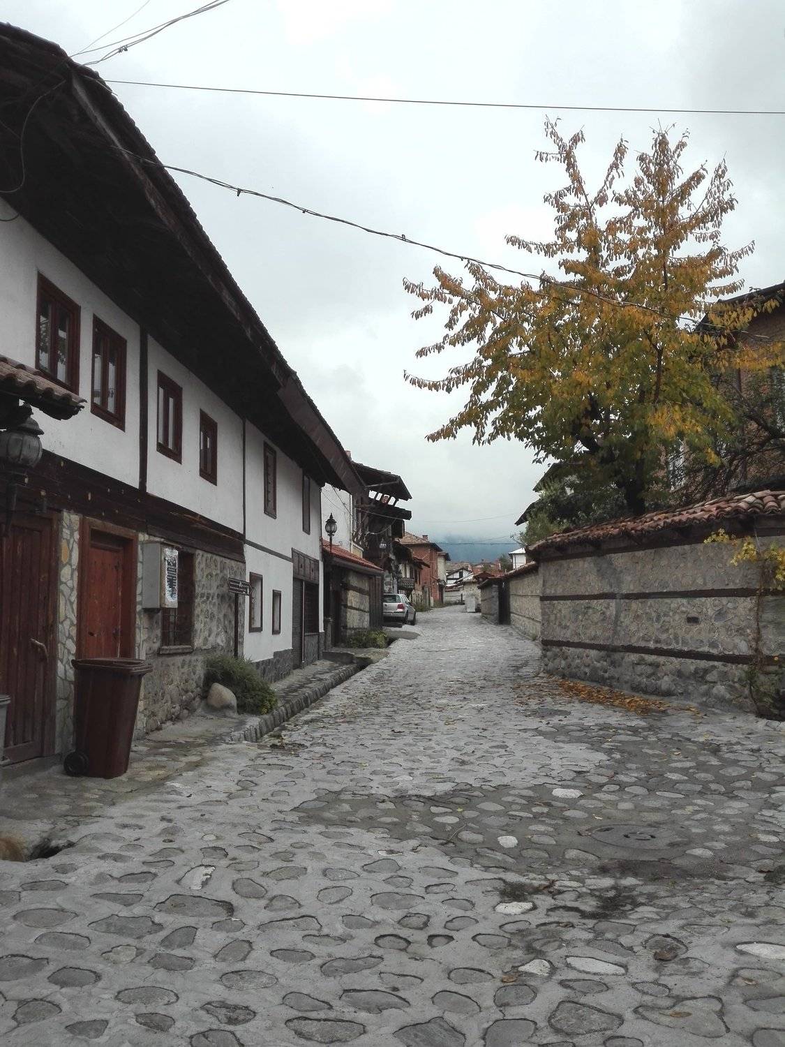 Photo #3857626