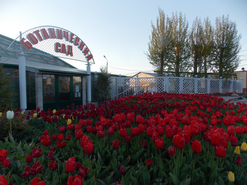 Photograph by Александр Афанасьев