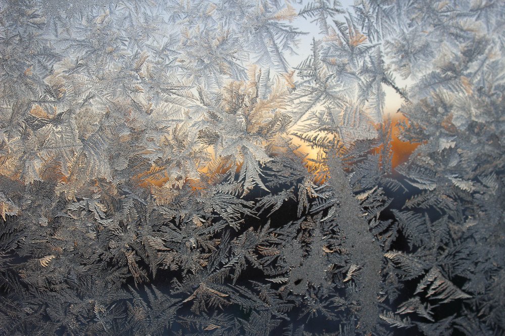 Кружево зимы
