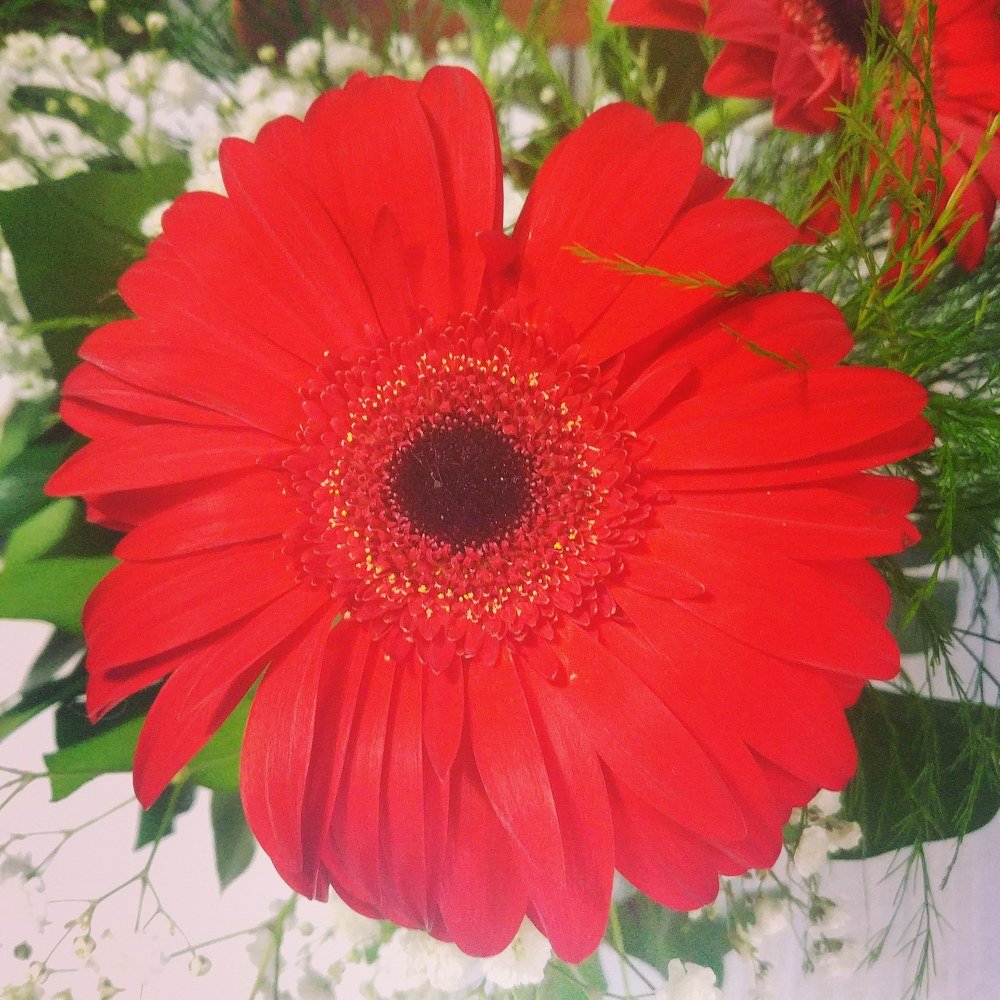 Фотография автора Vlatka Bojic