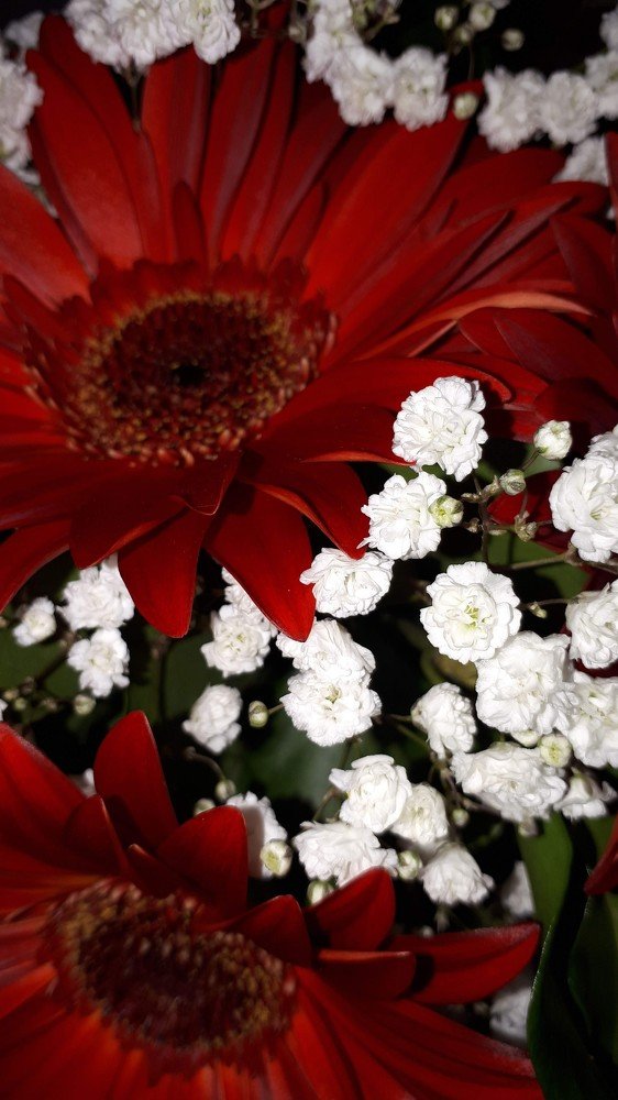 Фотография автора Vlatka Bojic