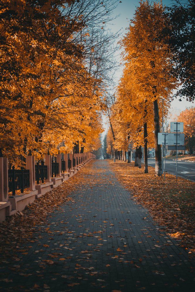 Осень в городе