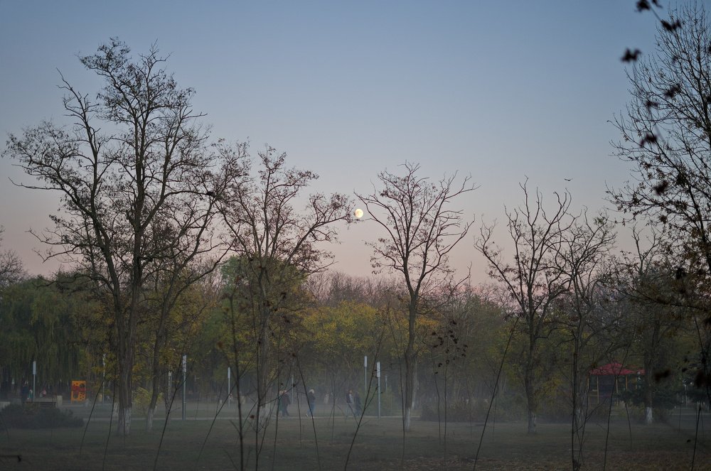 Photograph by Борис Панкин