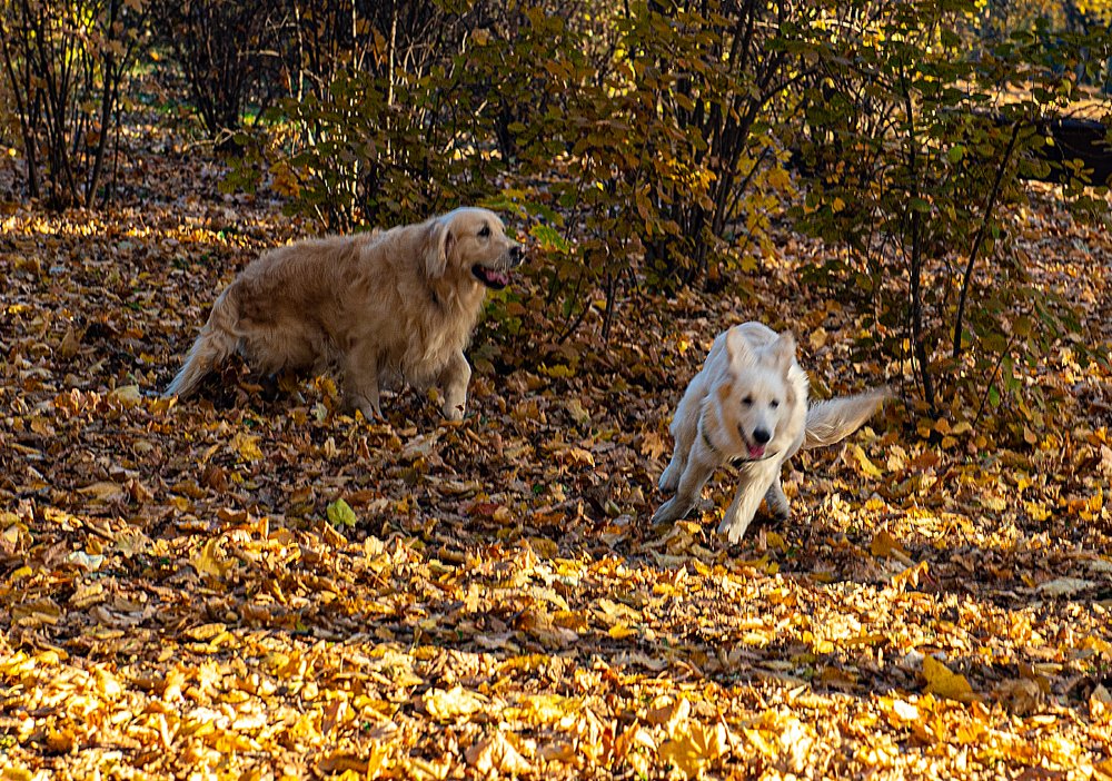 Photograph by Vitaly