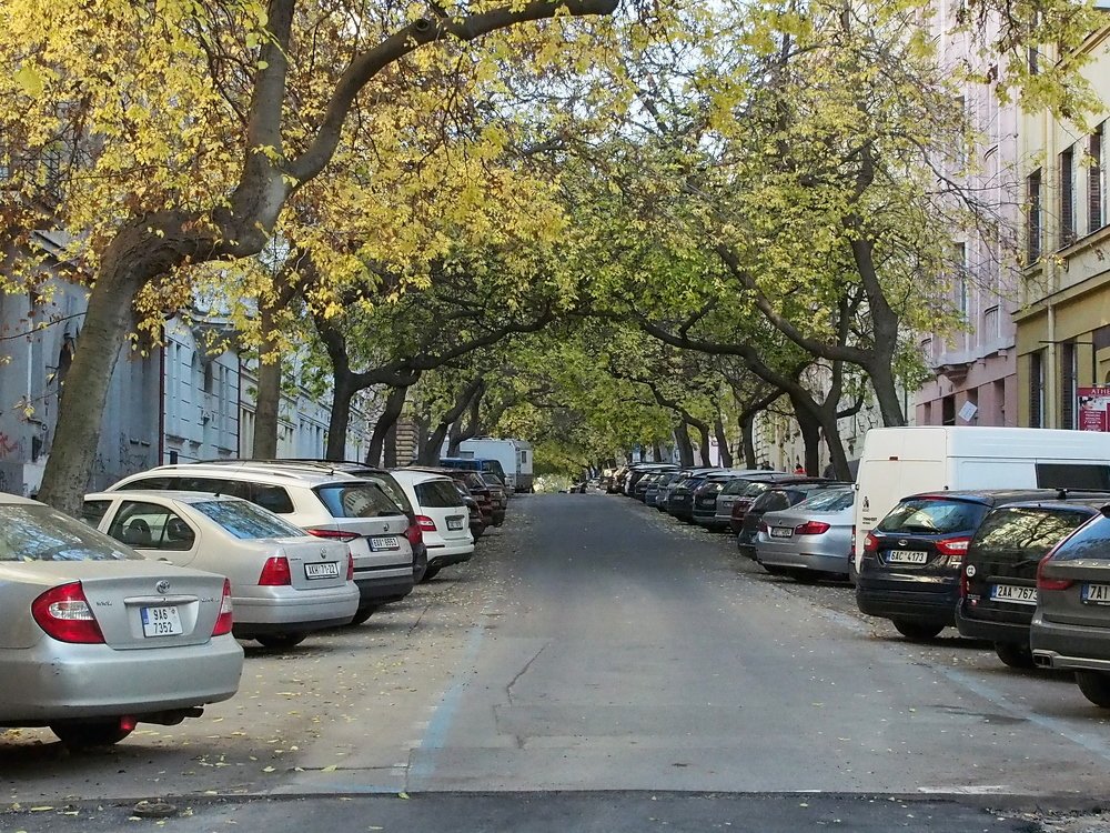 Photograph by Елена Харитонова