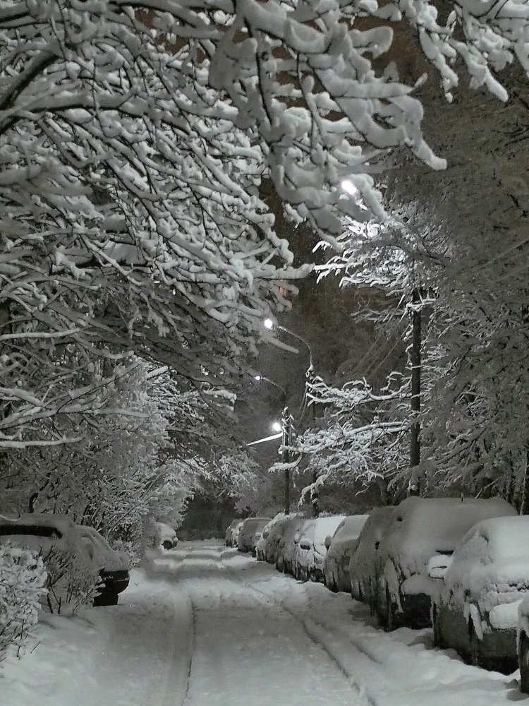 Photograph by Елена Харитонова