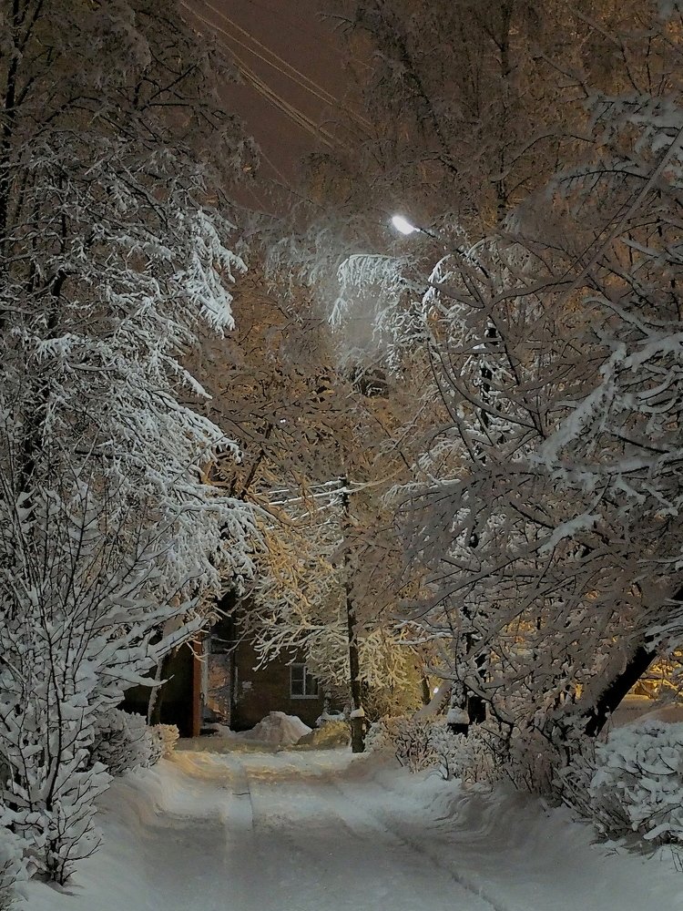 Photograph by Елена Харитонова