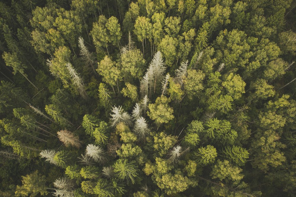 Photograph by Екатерина Григорьева