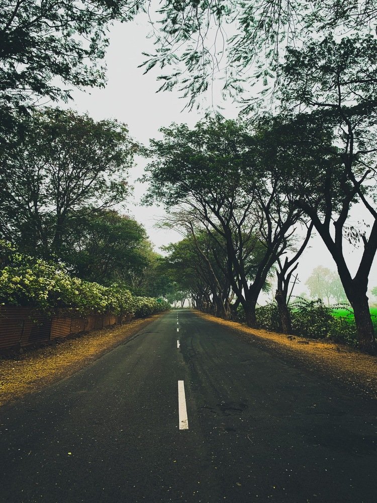 Photograph by Nyonika Rawal