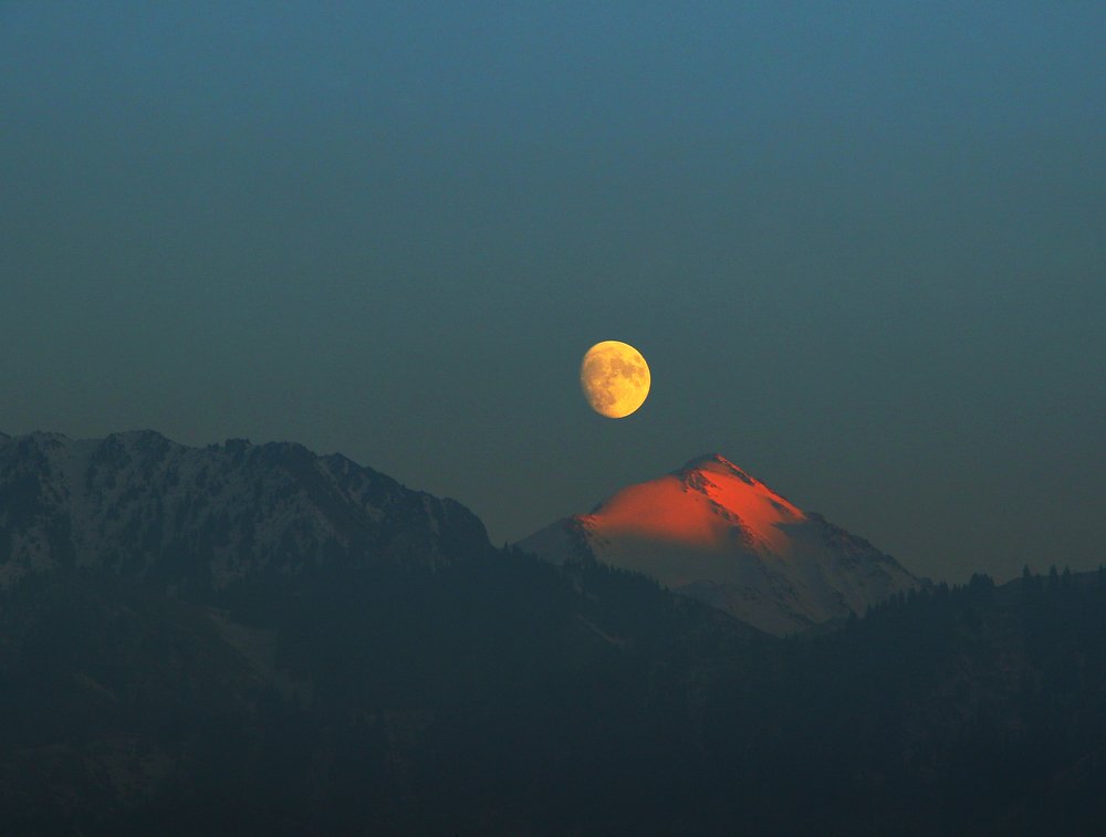 Photograph by Александр Шаварёв