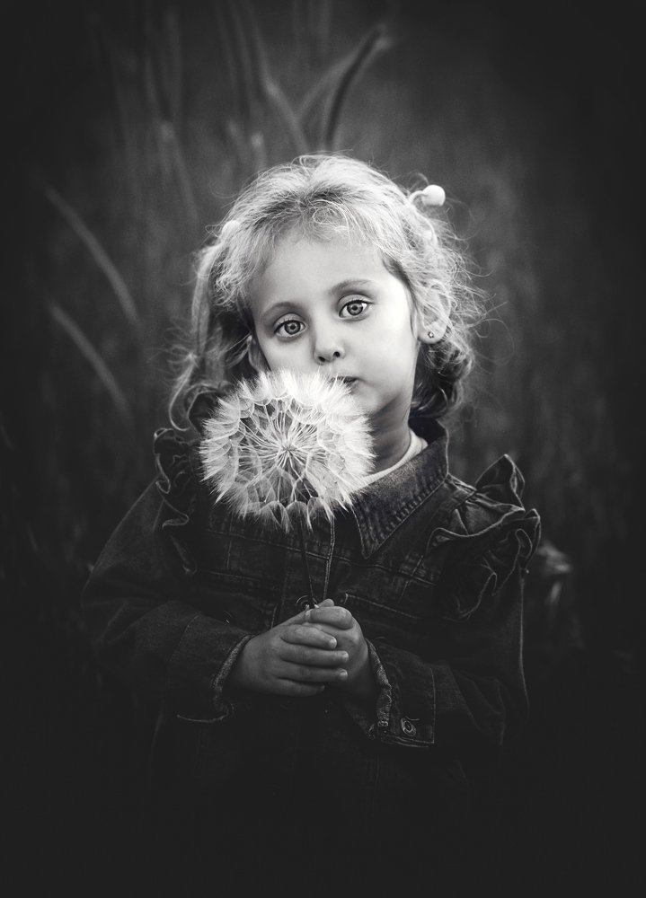 Фотография автора Сергей Гринис