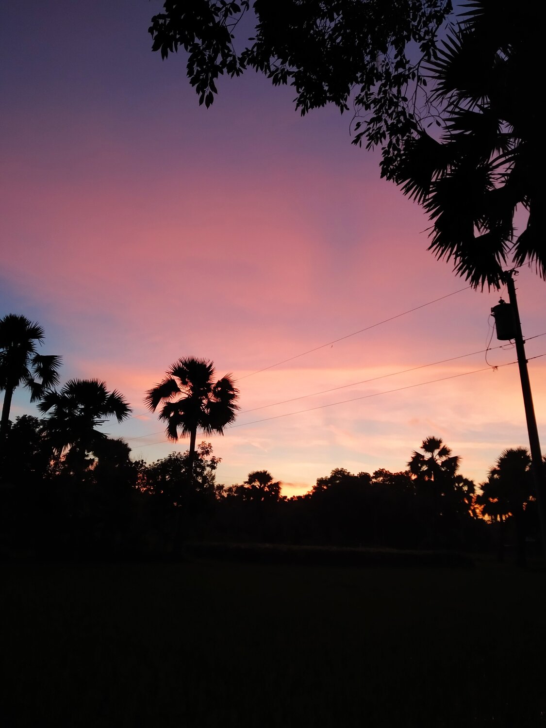 Photo #3858282