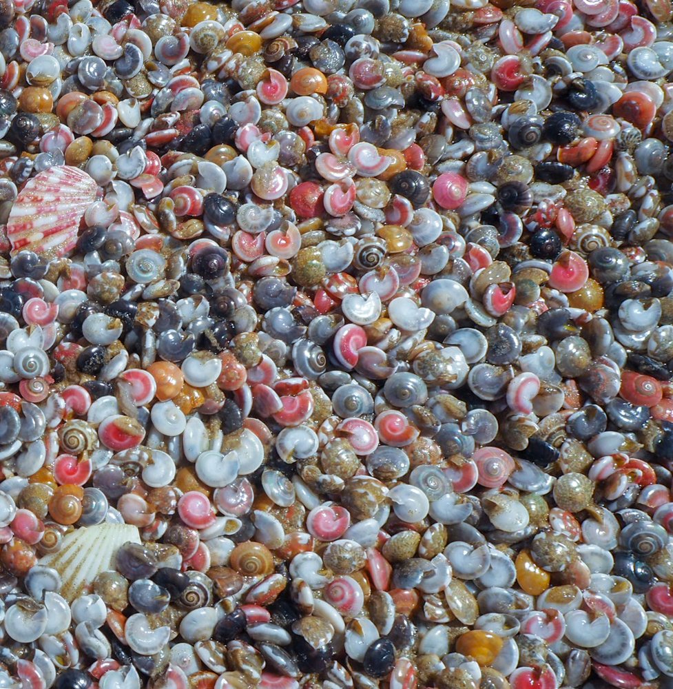 Фотография автора Olena Vorotyntseva