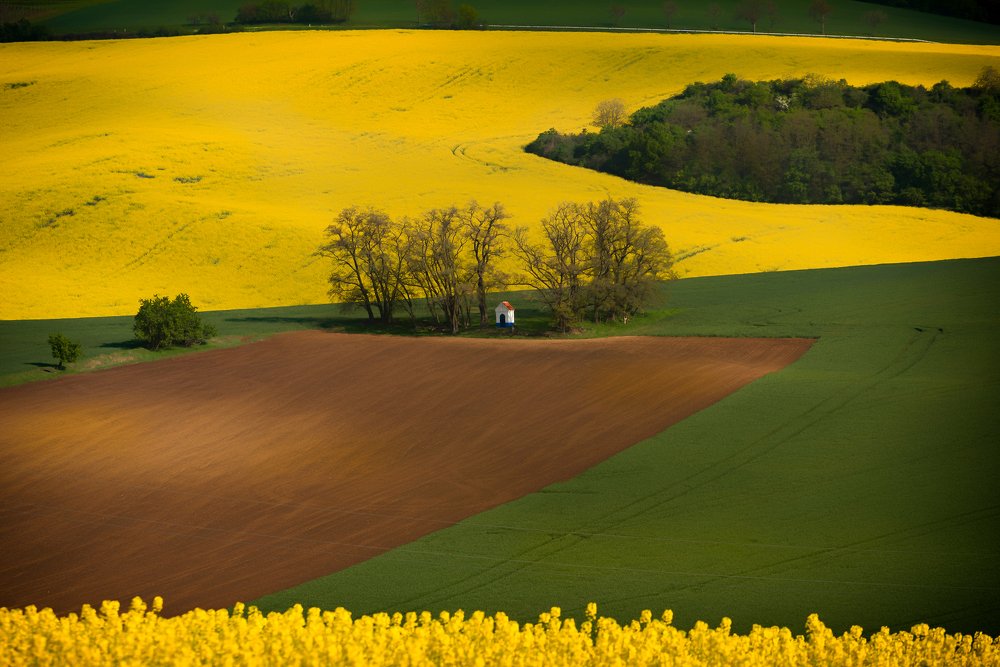 Borders