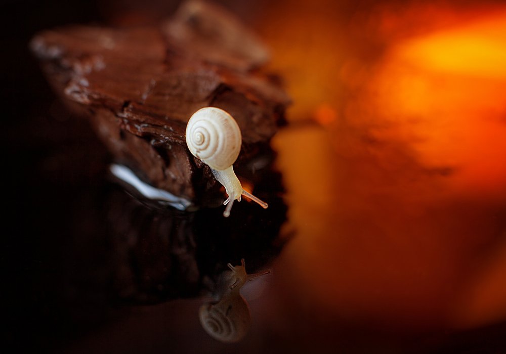 Photograph by Киркиш Ирина